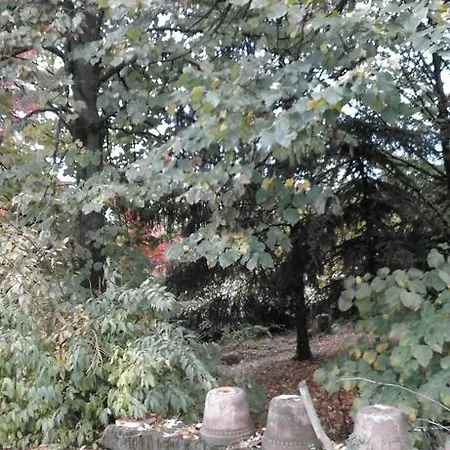 Landhaus Casa Ramonda