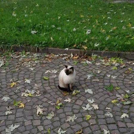 Landhuis Casa Ramonda Neive