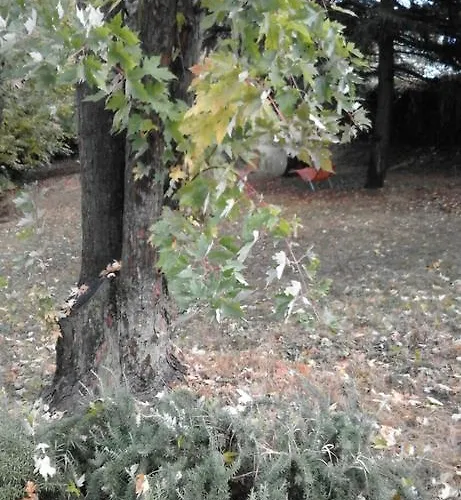 Hétvégi ház Casa Ramonda *