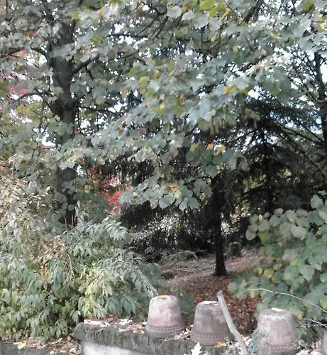 Hétvégi ház Casa Ramonda