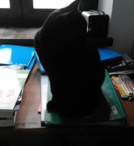 Hétvégi ház Casa Ramonda *